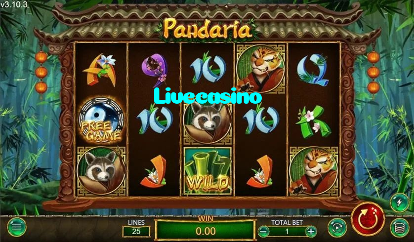 Livecasino casino presented on mobile device in Pakistan with slots and live games